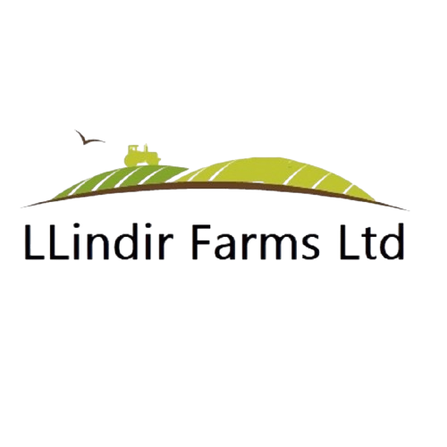 260036135_1559616601055518_7211404593598914275_n-removebg-preview