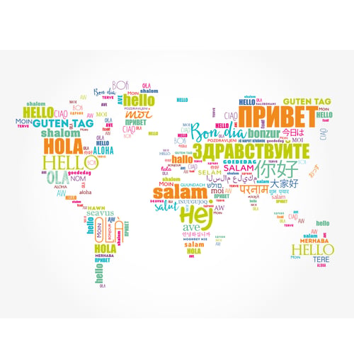Snapfix speaks over 6,000 languages