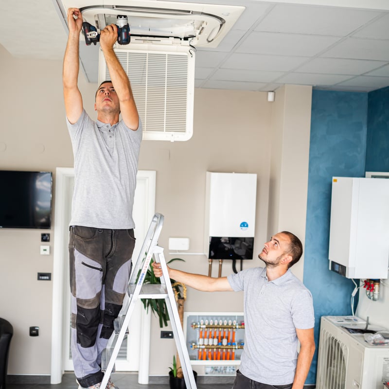 People maintaining a property 