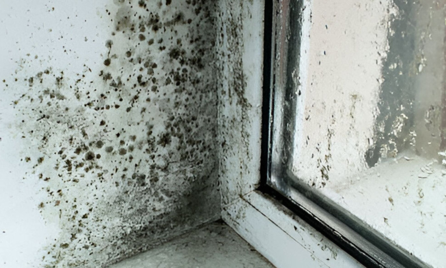 Awaab’s Law: What UK Housing Providers Must Know to Stay Compliant in 2025